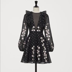 Giambattista Valli x H&M Dress with Embroidery